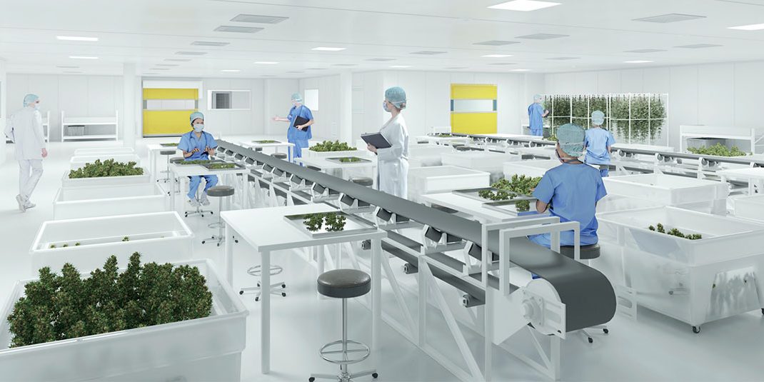 Cannlabr Soluções em Laboratórios Cannabis Medicinal da Asmontec 